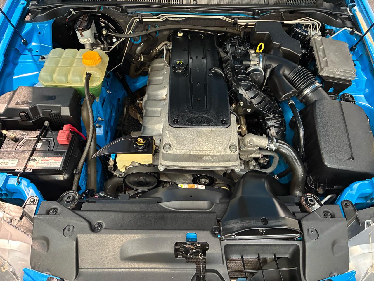 2009 Ford Falcon
