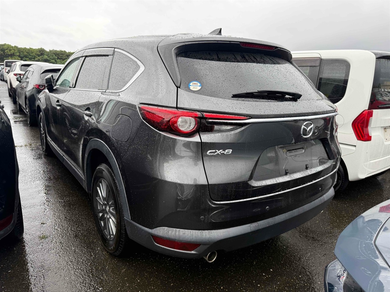 2019 Mazda CX-8